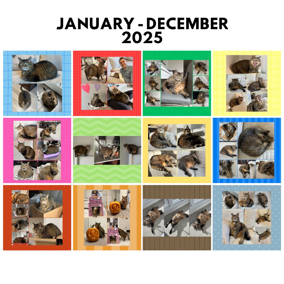 Attica's 2025 Photo Calendar